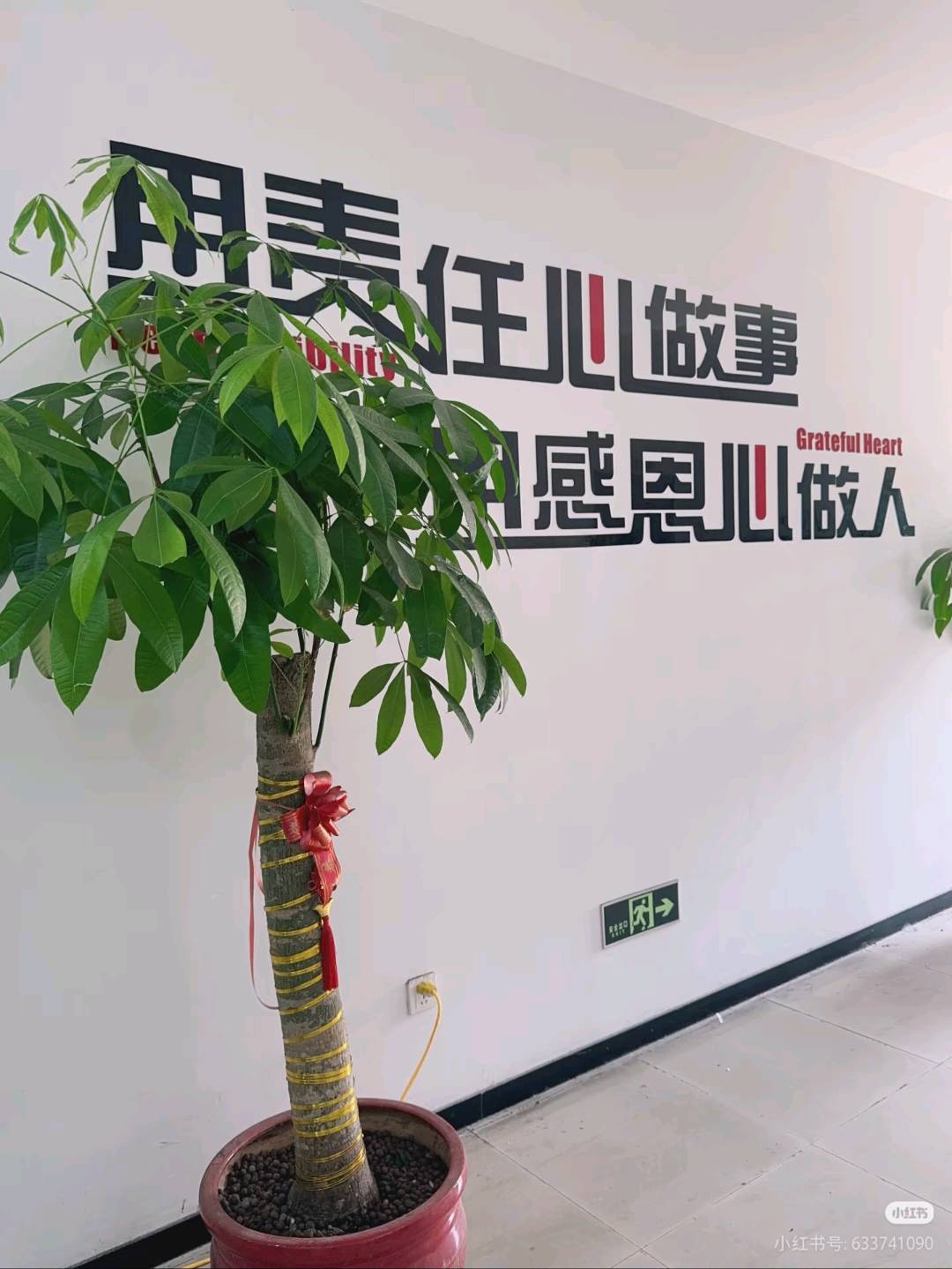 杨朋辉其他供需0费用0成本，*视频赚米，有电脑就能直接做，新手小白，宝妈，宝爸都可以