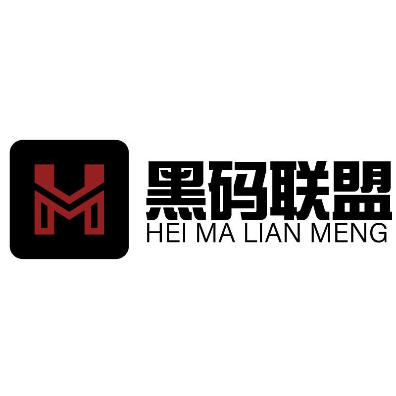 张先生地推项目黑码联盟，官签服务商直营拉新项目，招募地推，网推团队 