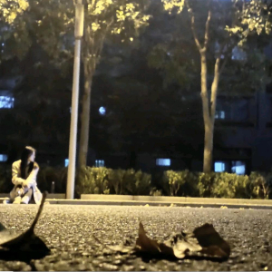 南女士