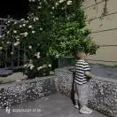 兰海柱