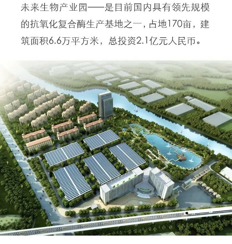 胡先生找合伙人大健康行业玉米胚芽粉