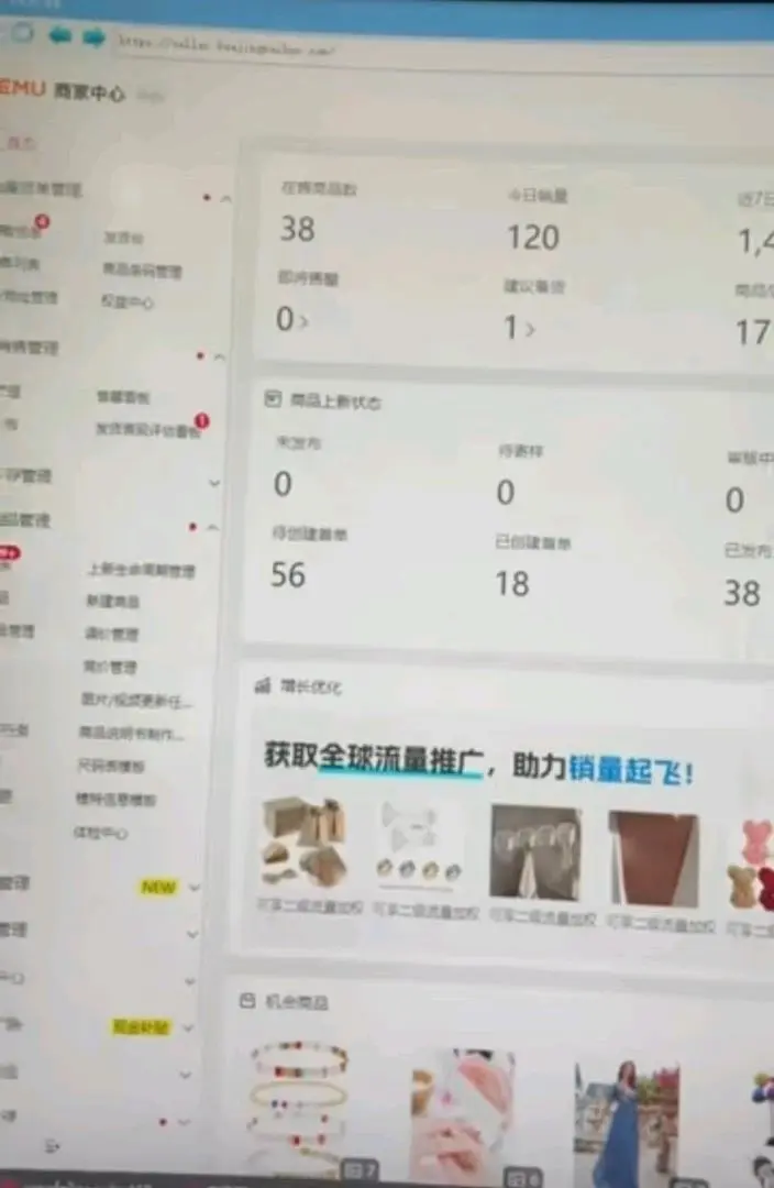 张先生跨境电商—全程陪跑