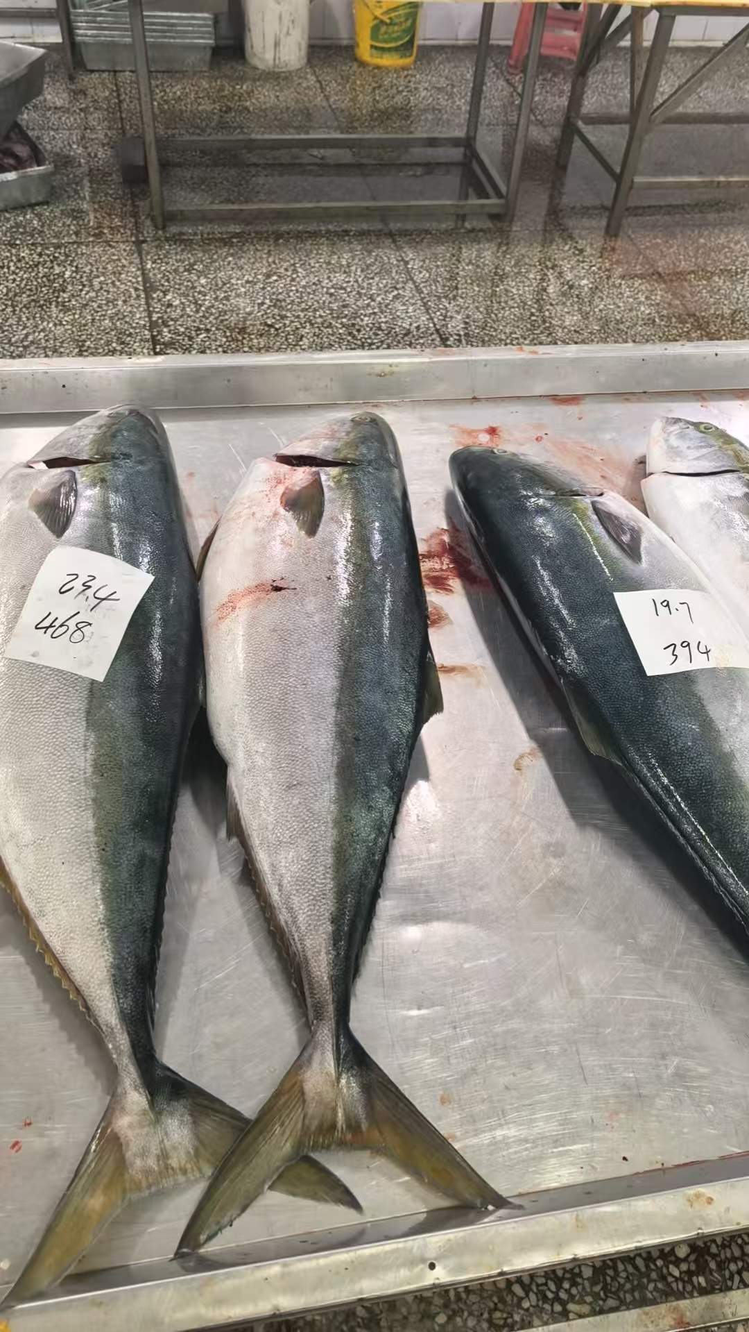 穆先生品牌货源东北优质小金枪鱼一手货源，源头直供支持定制分装