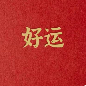 马先生