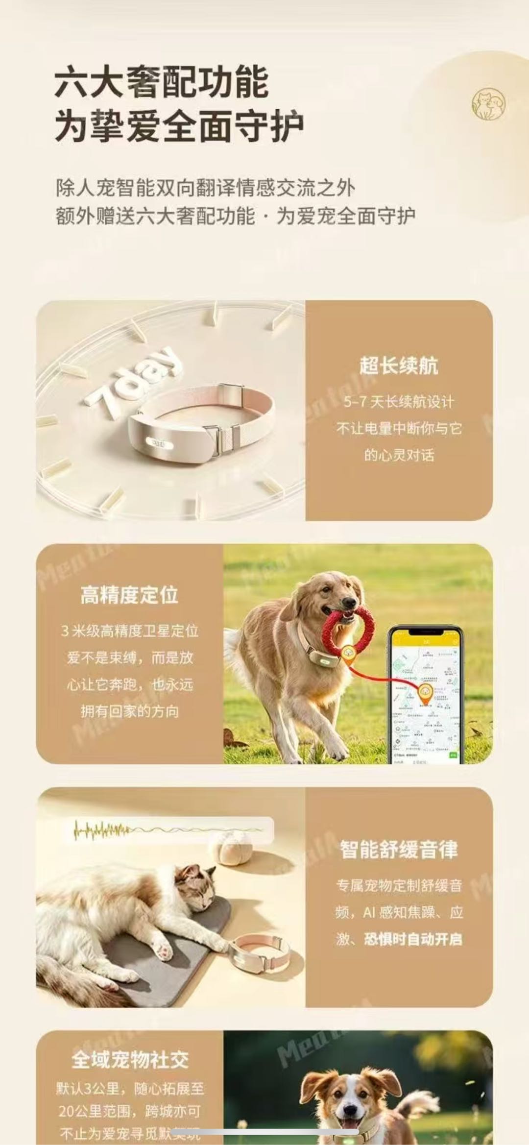 车先生找合伙人