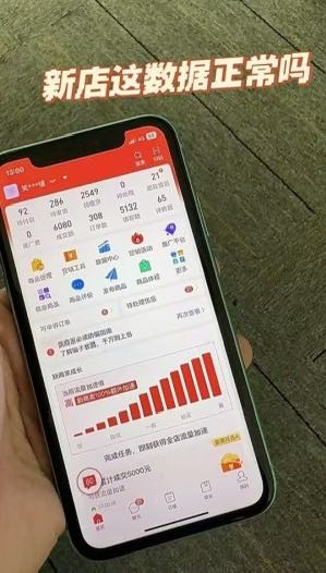张先生拼多多免费开店 零经验可做 收益您拿9成时间自由 日结 *