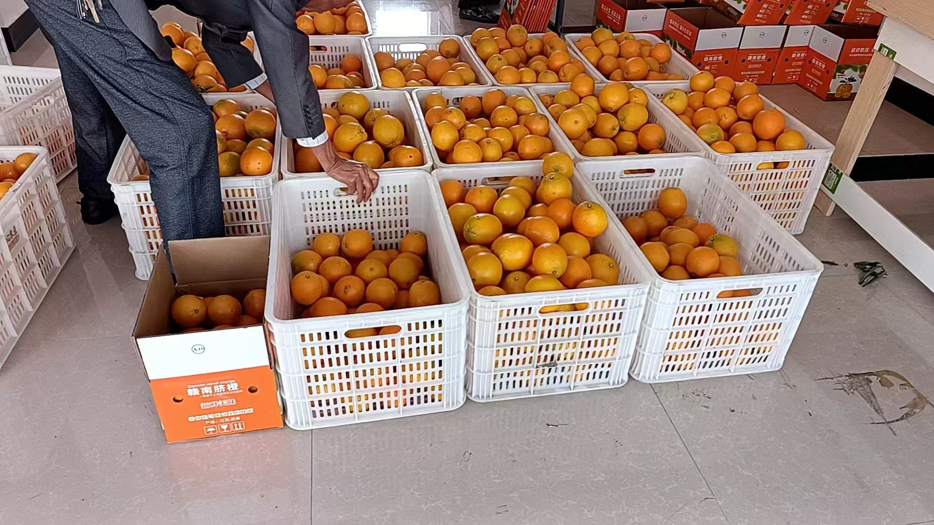 陈先生品牌货源正宗赣南脐橙，价格实惠量大质量好，找经销商
