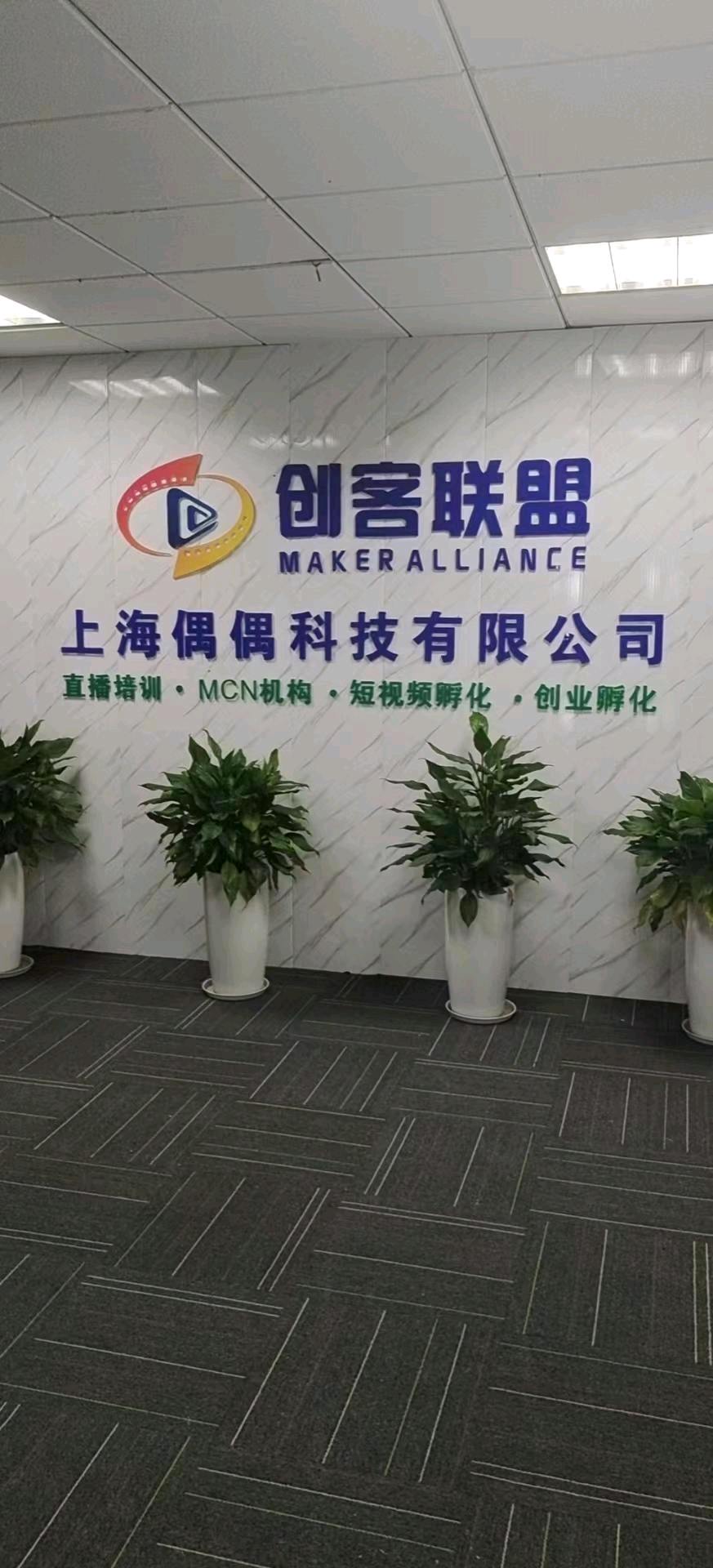 冯先生找合伙人闲鱼副业，每天10分钟发布商品在鱼，日入*