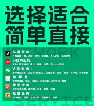 景振宁乙方信息*代发 小红书快手抖音媒体*