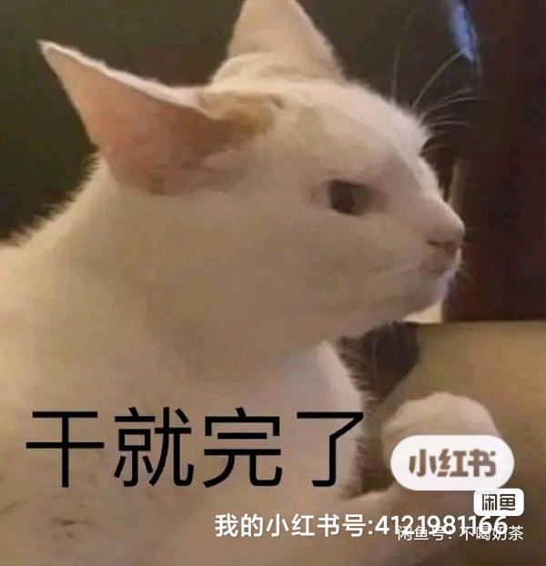 万先生乙方信息提供抖音，小红书，视频号，双微，优质达人。需要品牌方。茶水丰