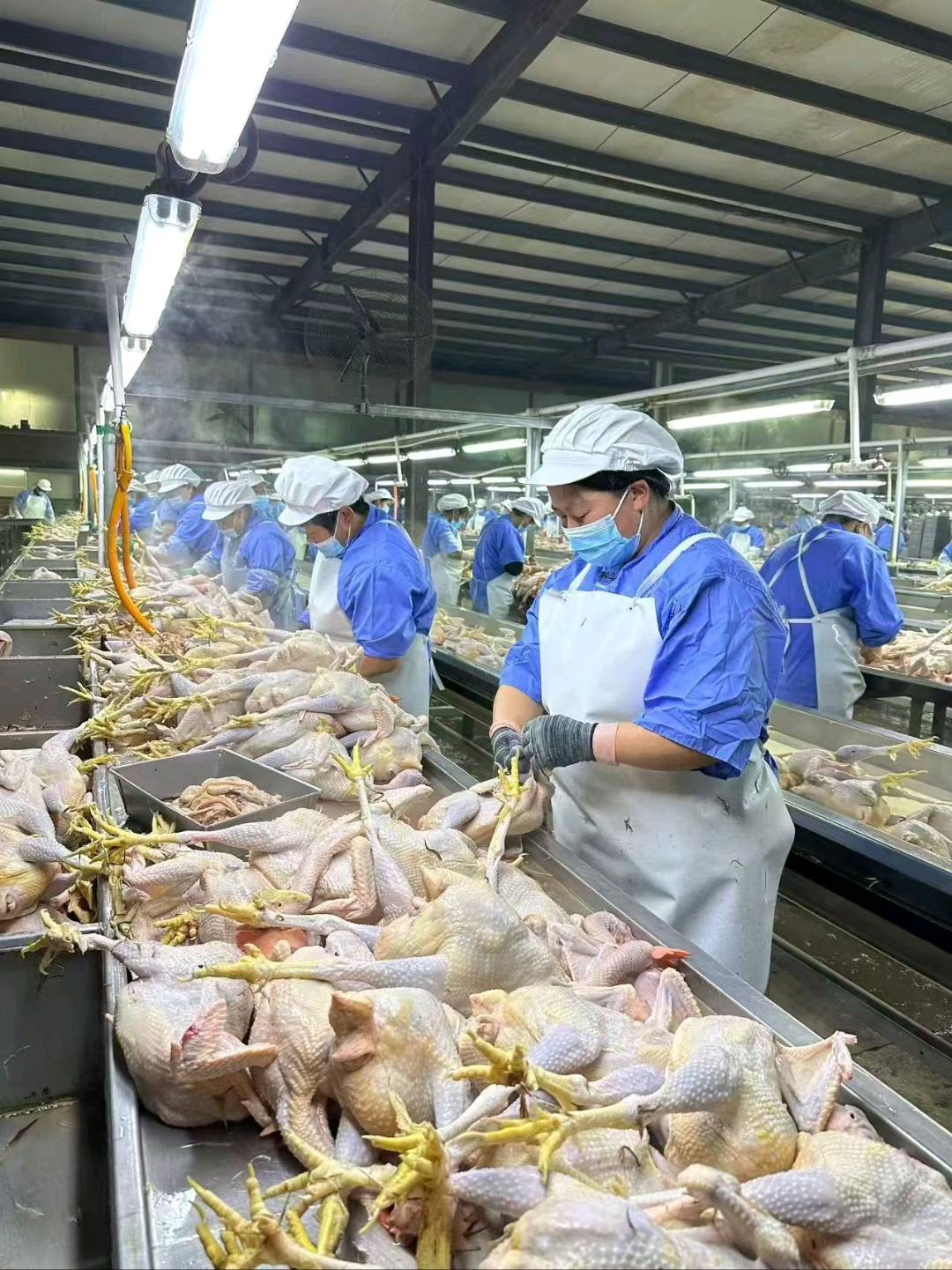 郭伟品牌货源海鲜 生鲜  熟食   冷冻食品，品质优先