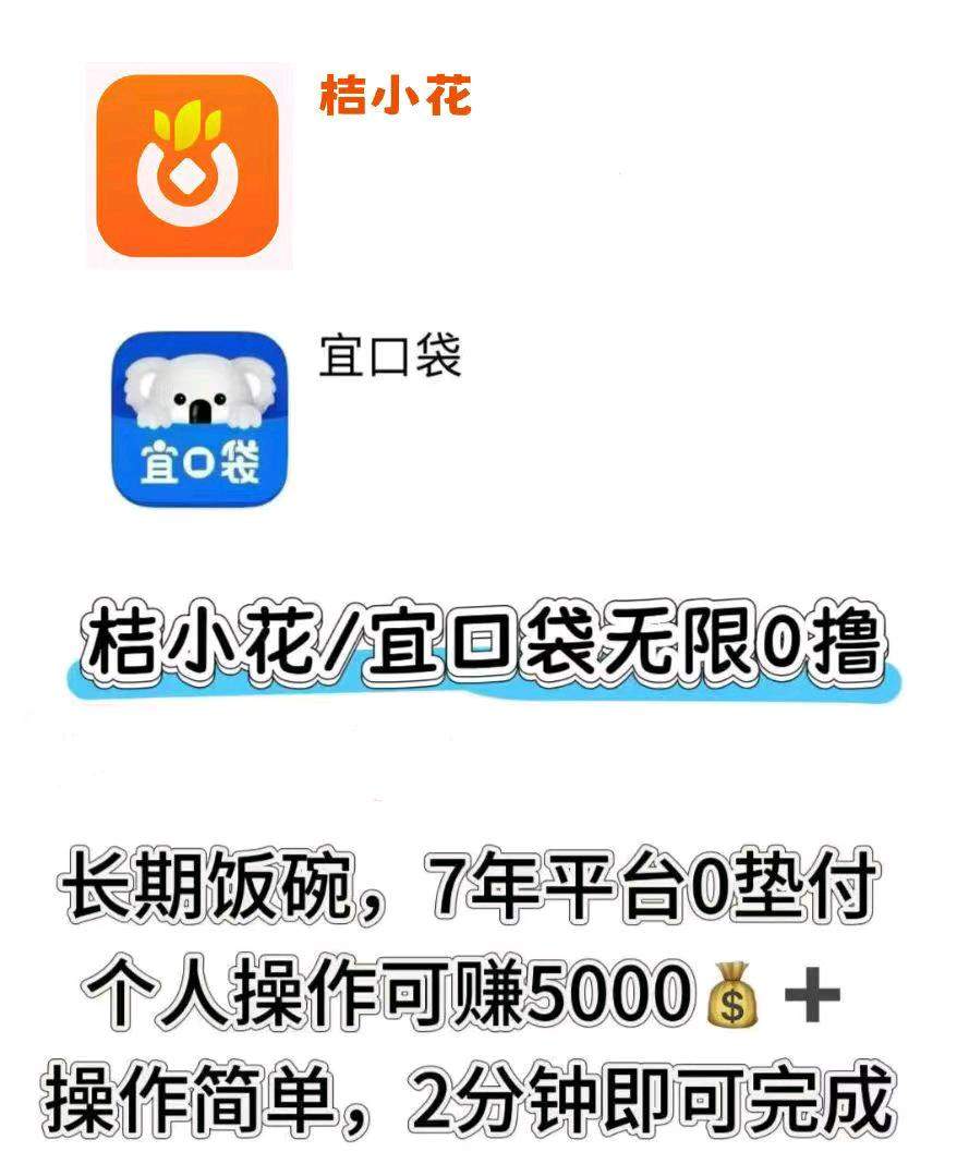 丁女士地推项目APp拉新–桔小花–宜口袋–可100次复做