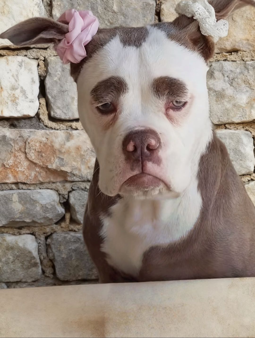 董先生简单操作会用手机即可，手机电脑都可以。