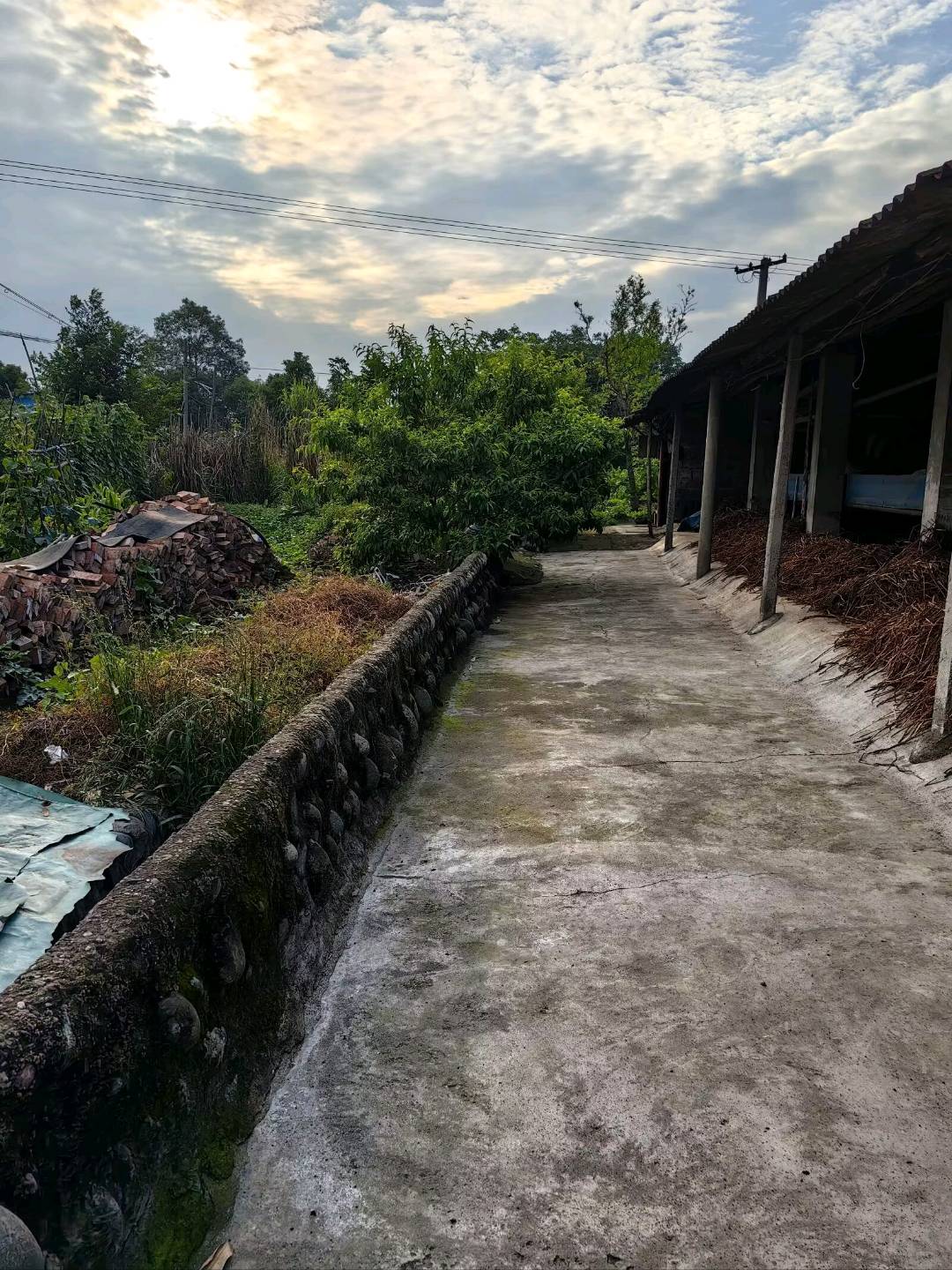 郑晞场地活动