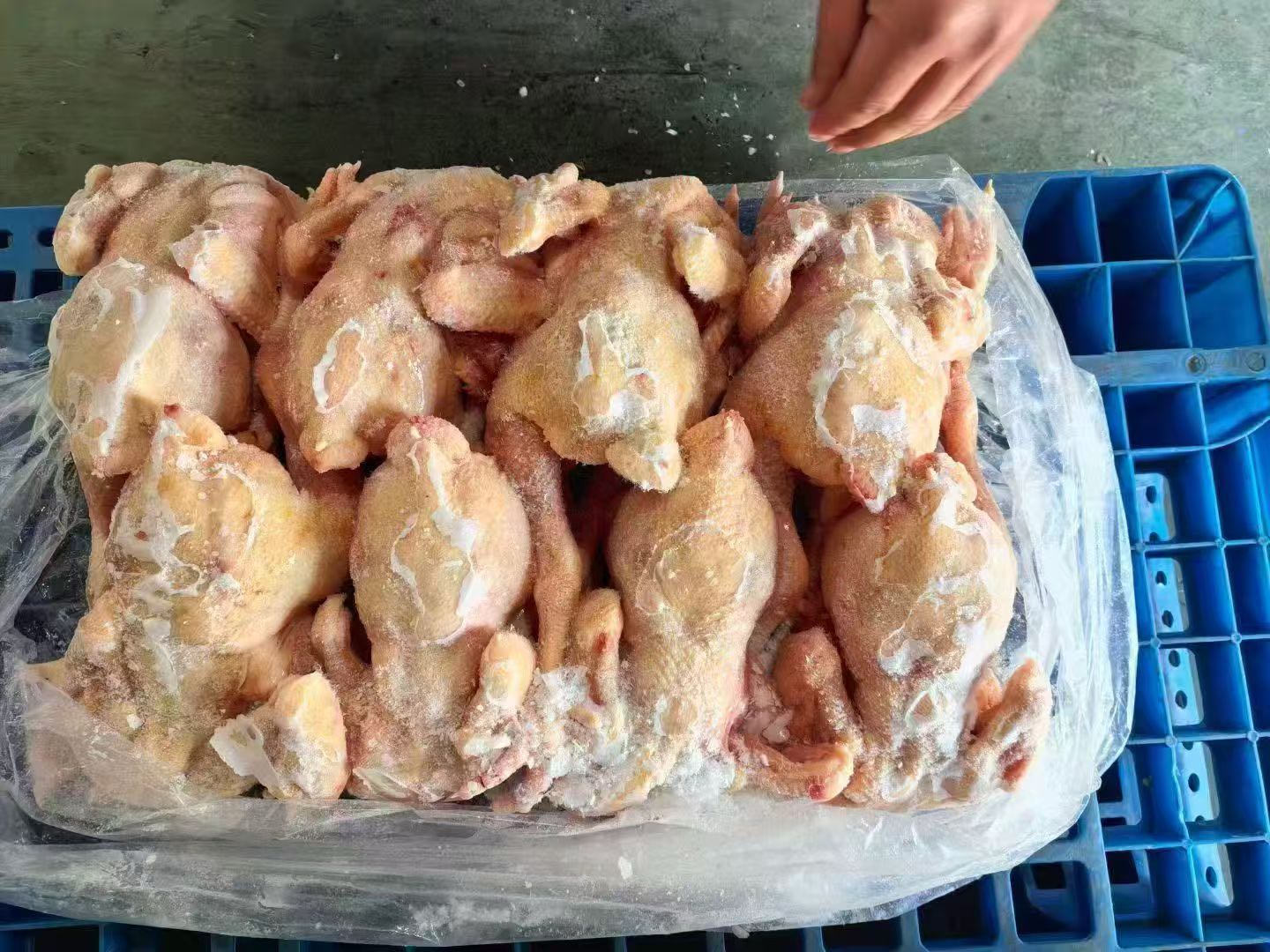 孟风英品牌货源进口国产牛~羊内外胸口油  一级带皮五花肉  猪蹄  三黄鸡  凤爪 