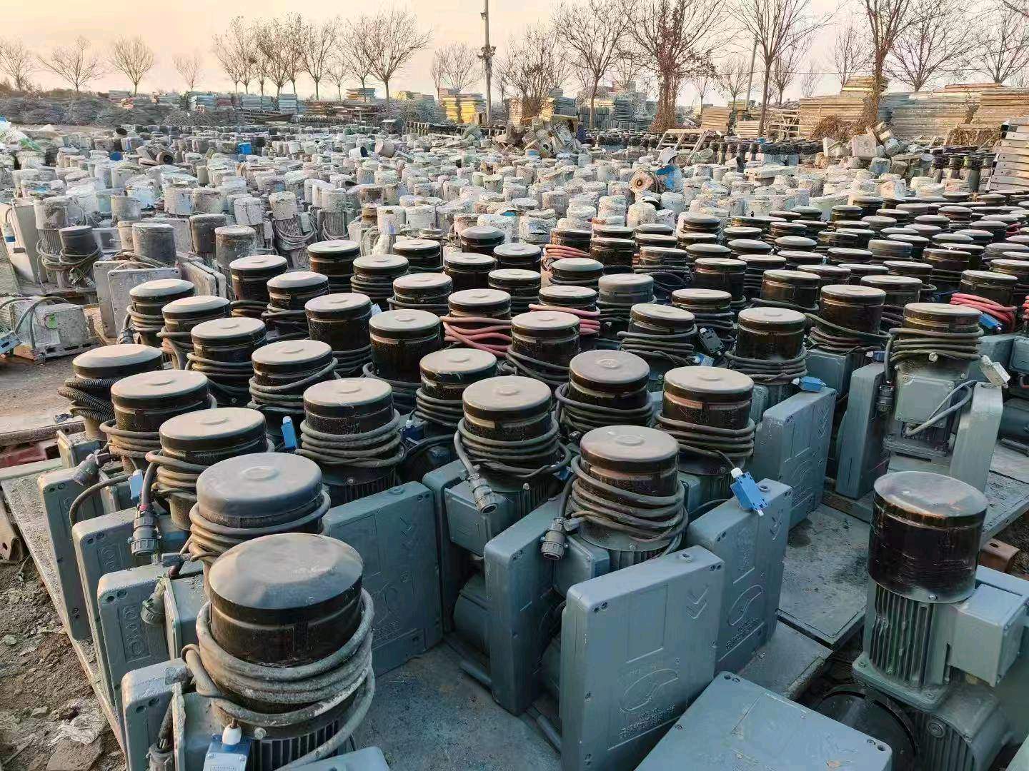 王美丽品牌货源