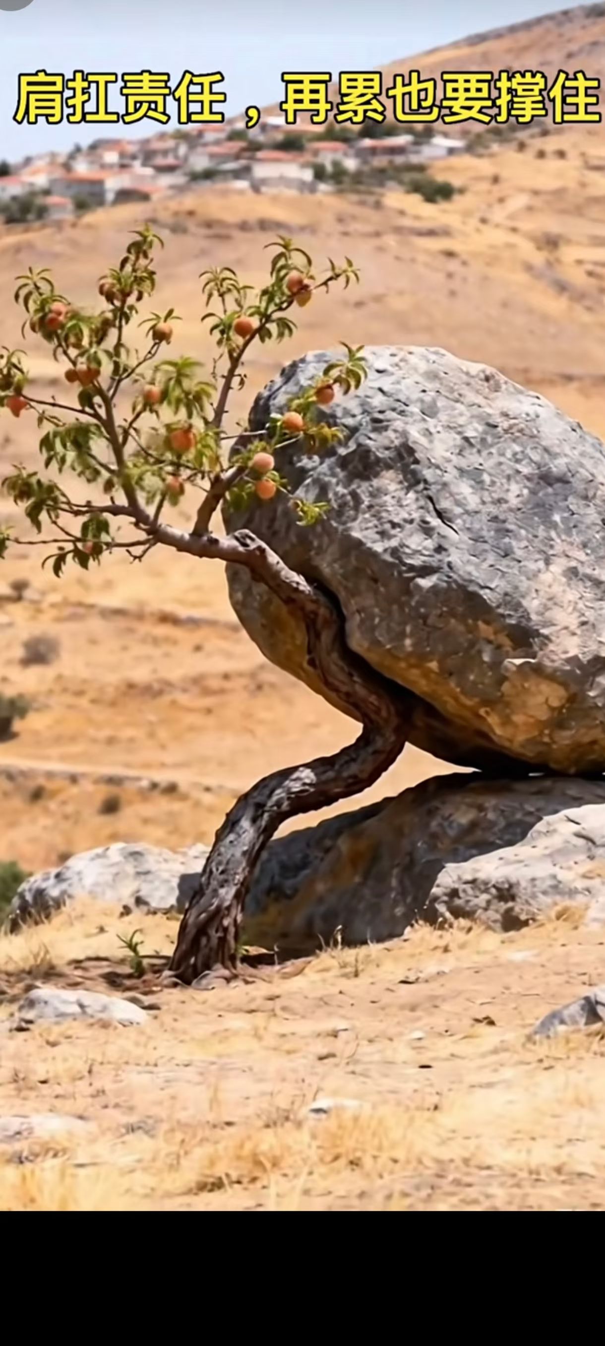 张妙生找合伙人