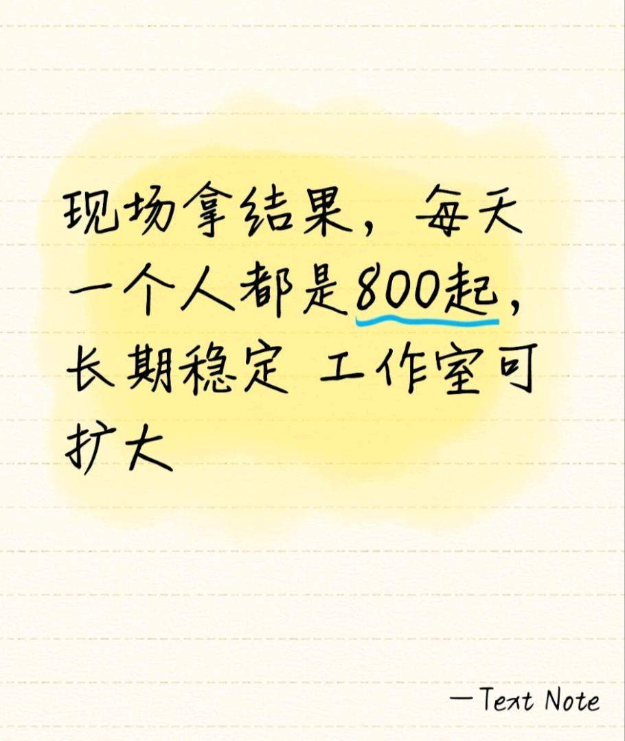 吴先生找合伙人线上物流货运调度兜底