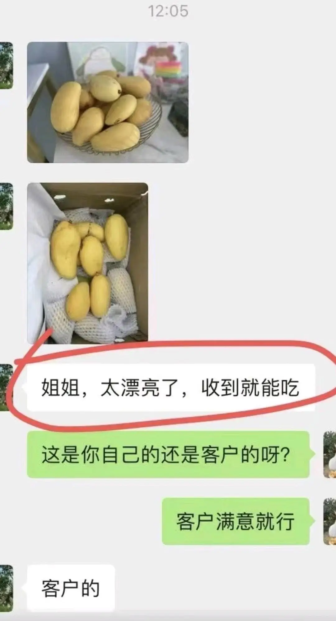 樊先生品牌货源