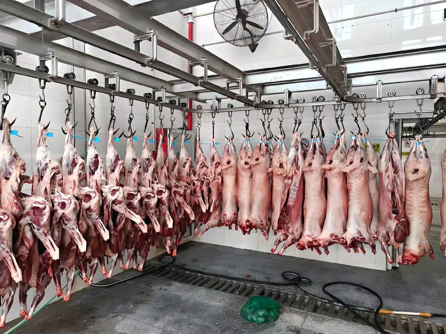 沈武元地推项目