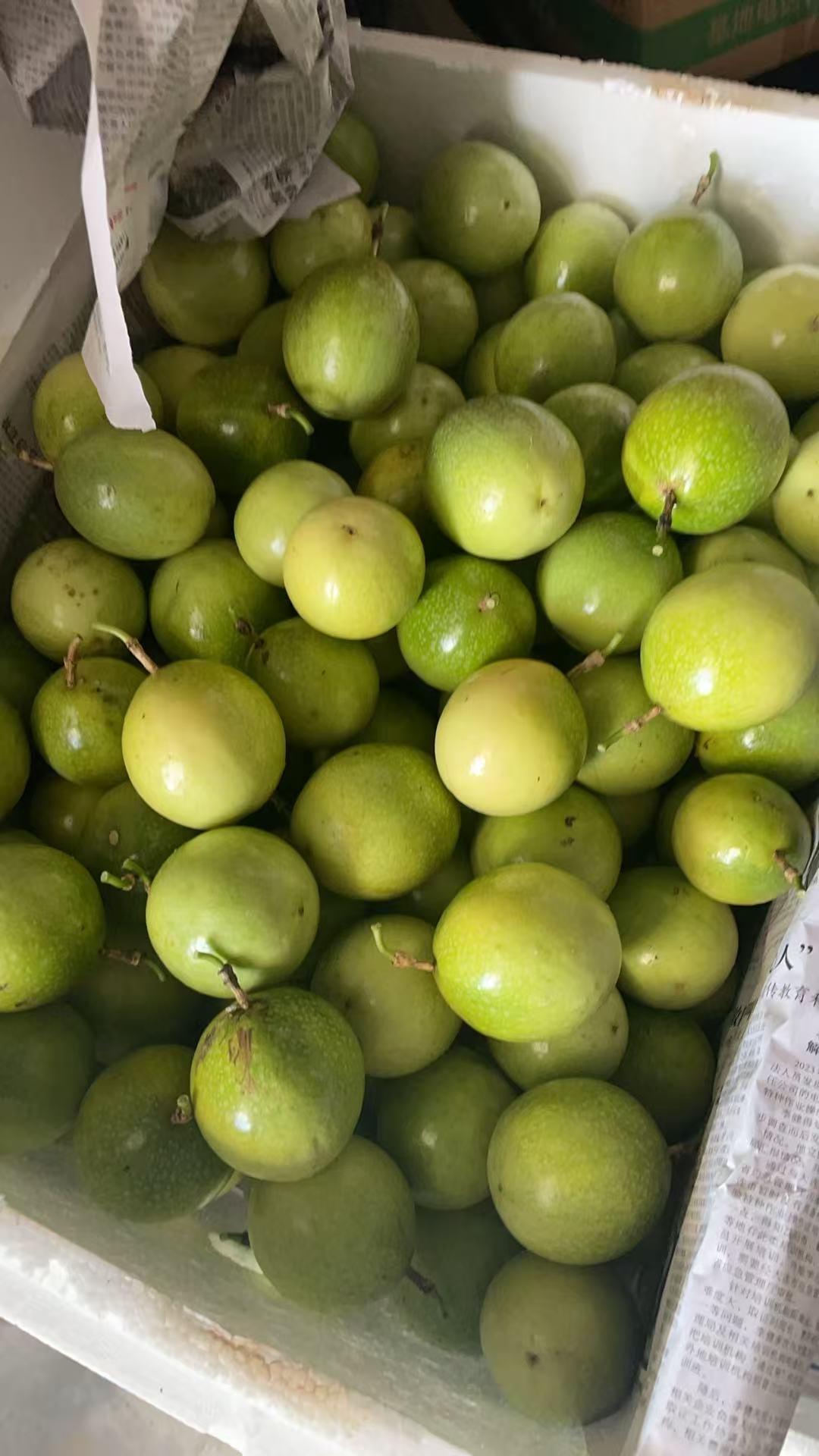 李君品牌货源提供饮蜜9号百香果，需求 一件代发渠道