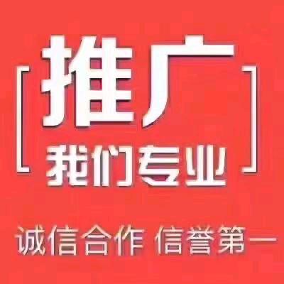 赵先生地推项目