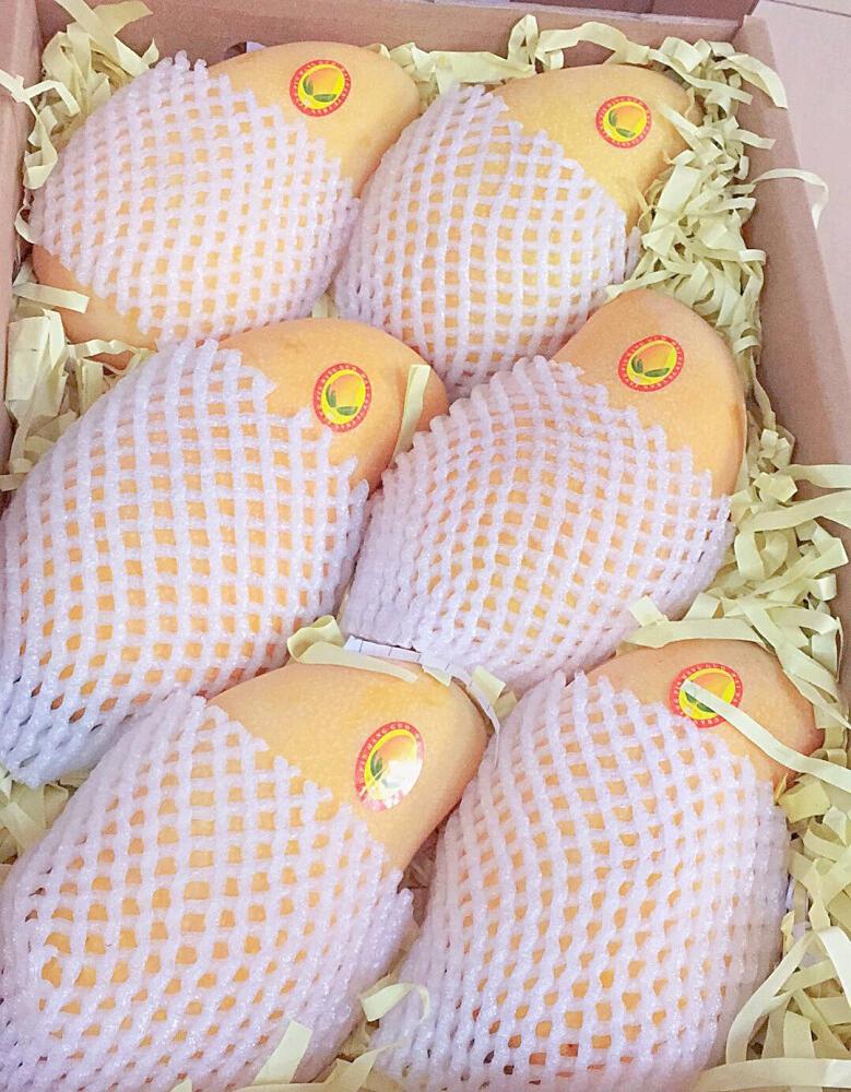 吉先生品牌货源