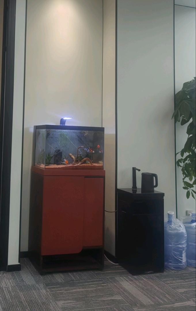 郑玲玲找合伙人我提供一站式全链路扶持,需求西安选品流量合伙人,共拓欧美跨境项目