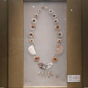 陈雯杏