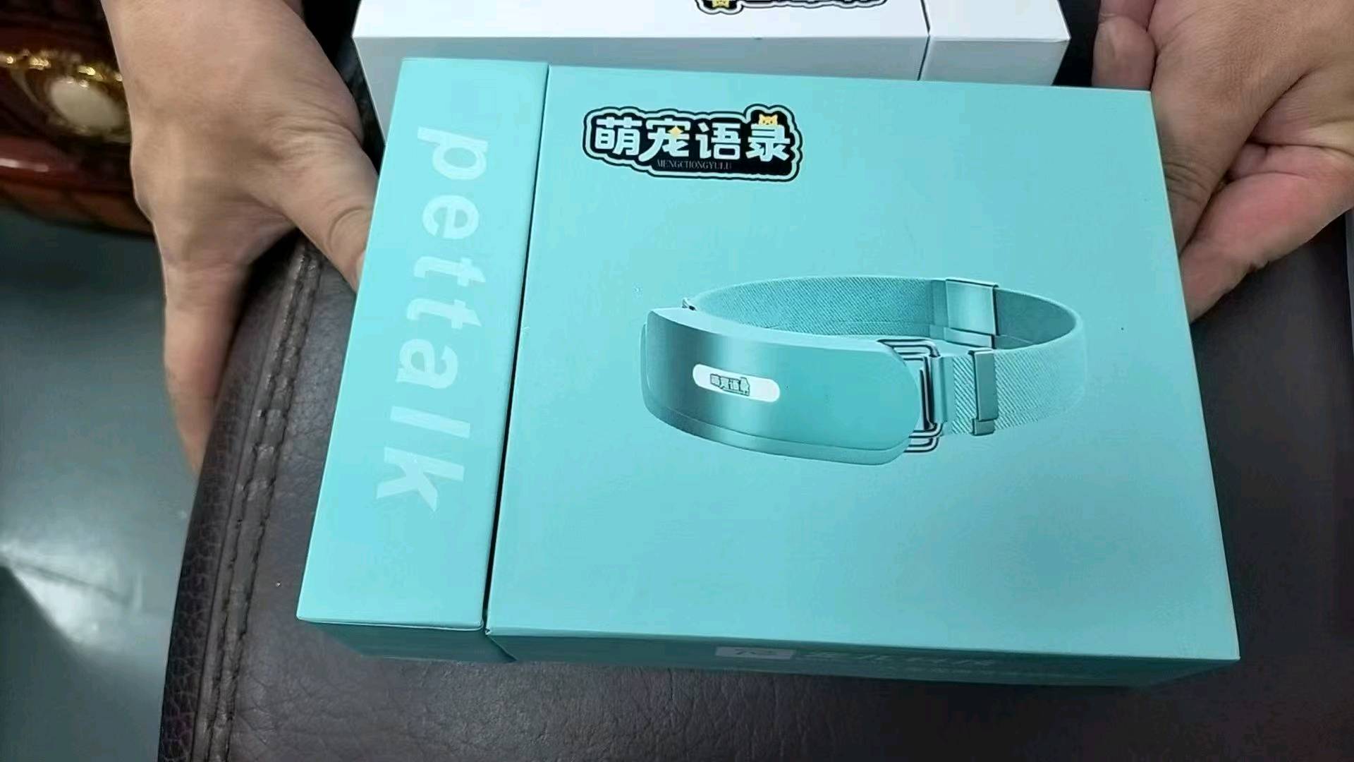 尹先生宠物智能对话项圈代理商,区域合伙人