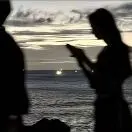 何嘉宾