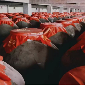 岳乐乐