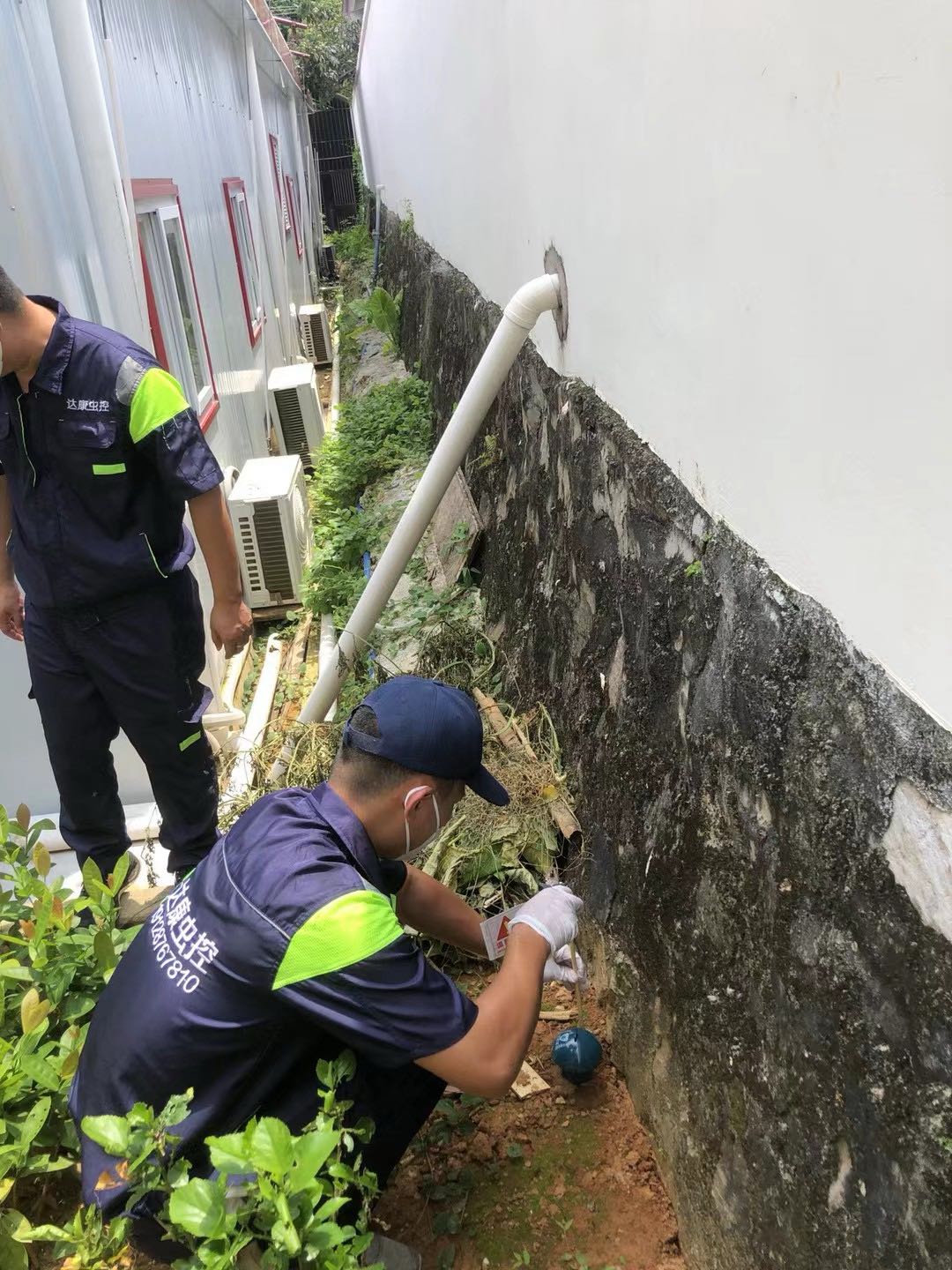 肖学煌广州本地消杀除醛项目 找合伙人 低投入高回报