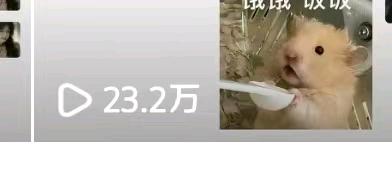 申女士其他供需