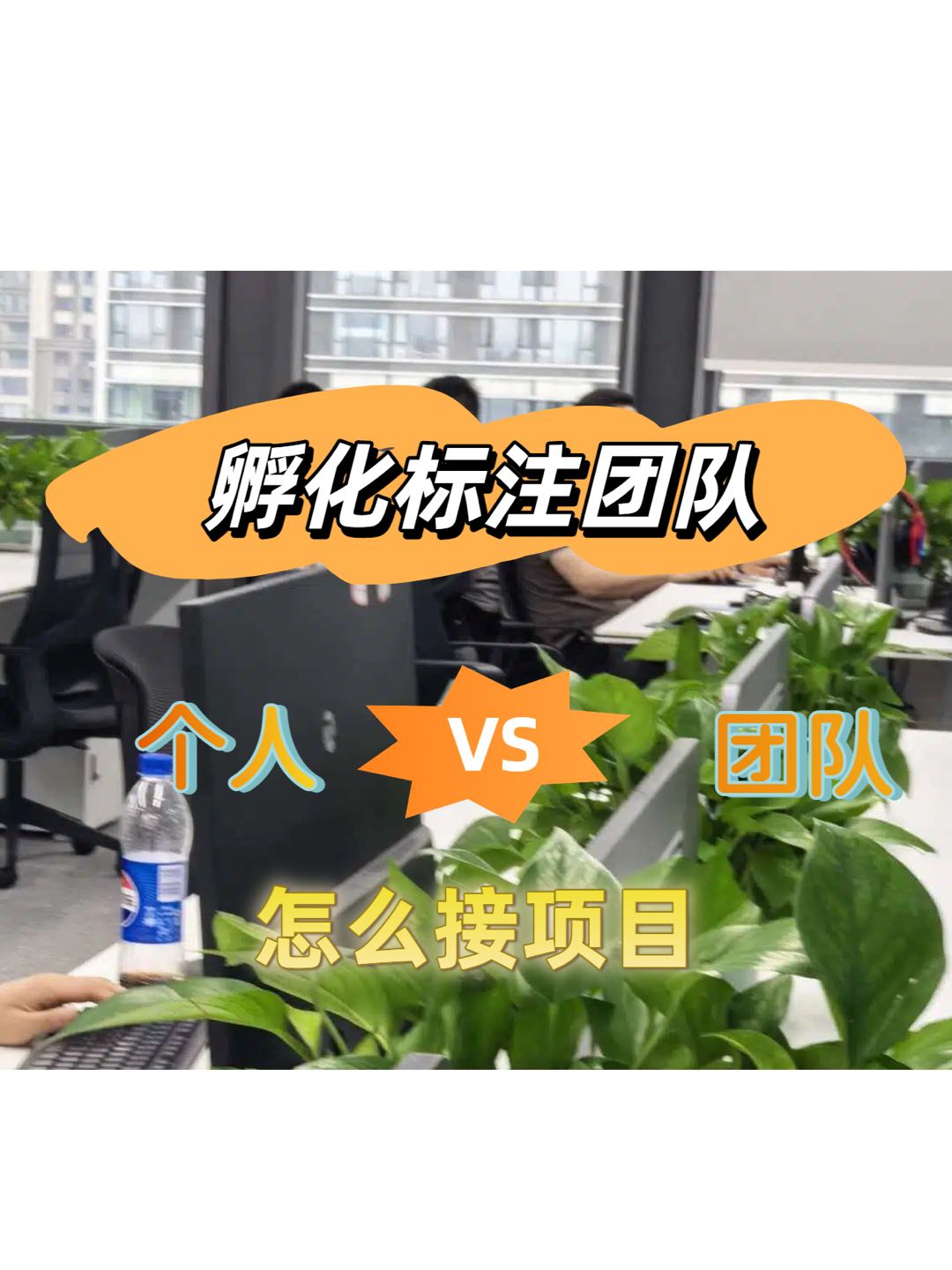 王肖肖找合伙人AI数据标注 创业合伙人