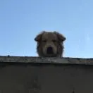 u客直谈实名认证李先生