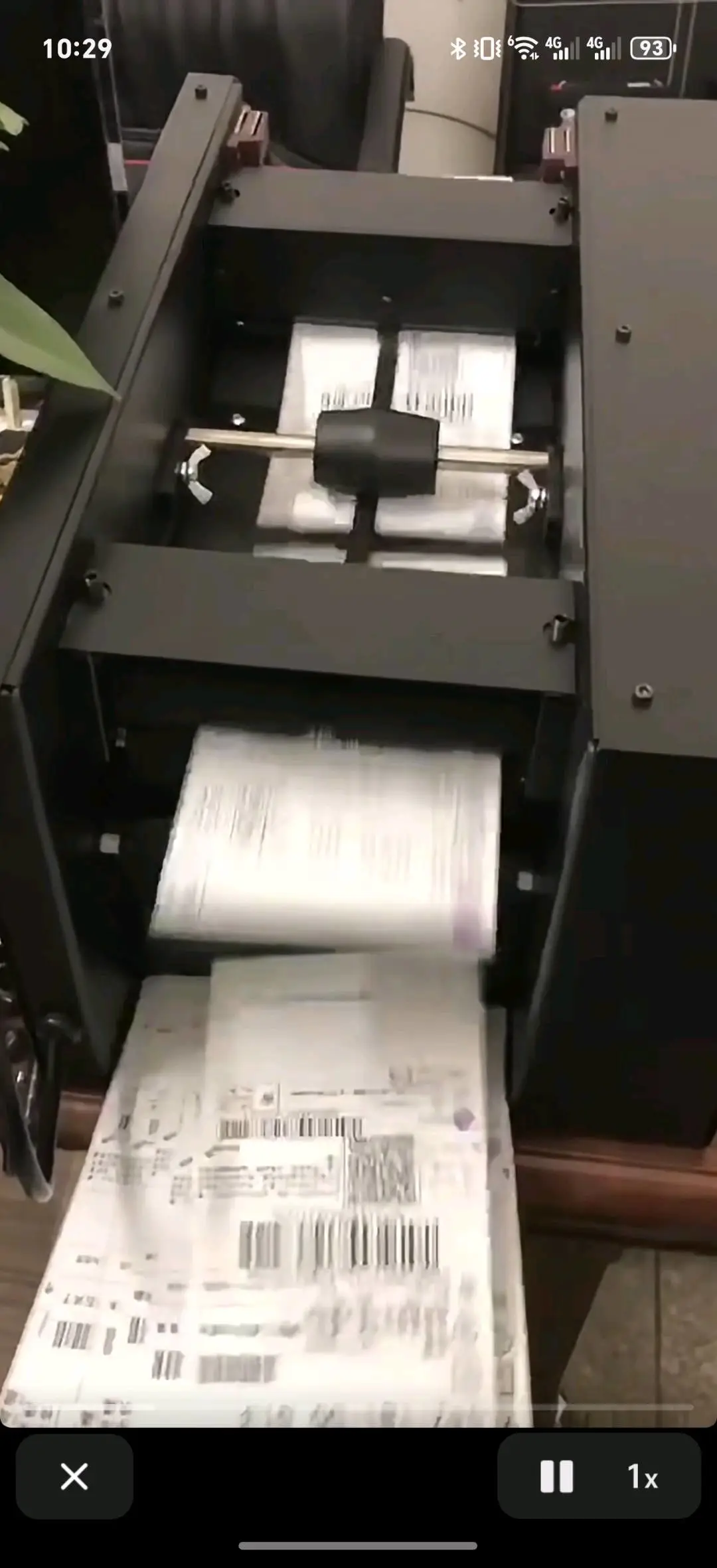 张振豪品牌货源