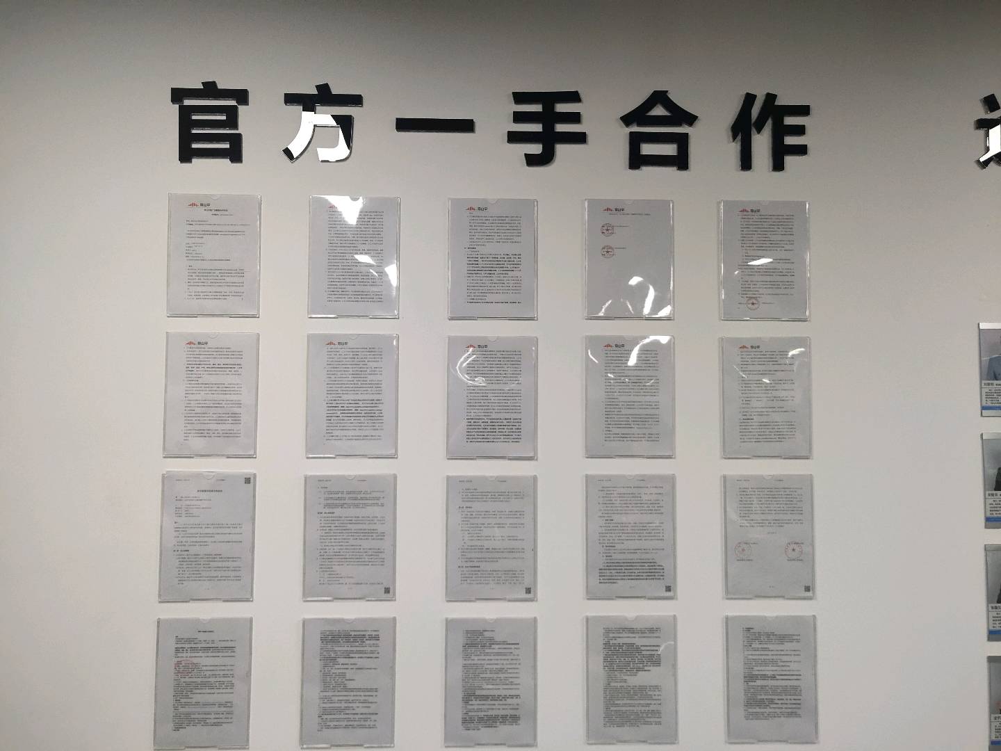 陈女士找合伙人