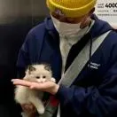 吕先生头像