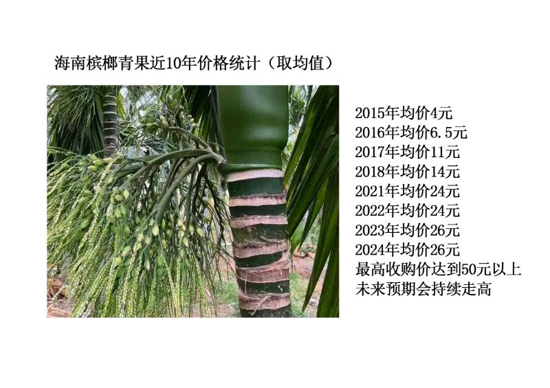 朱见波找合伙人