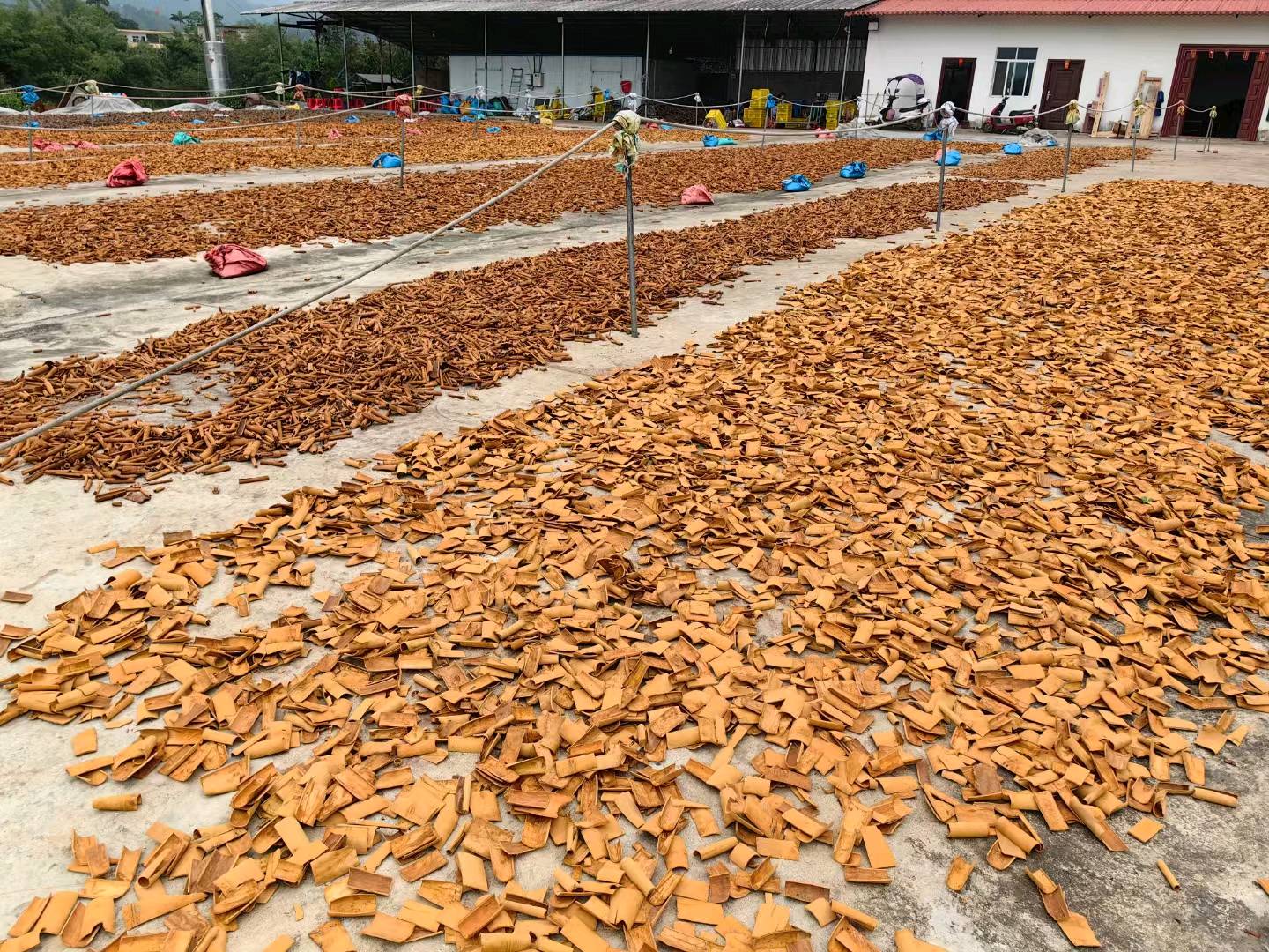 郑家驸提供各种海产品干货，桂皮等干货