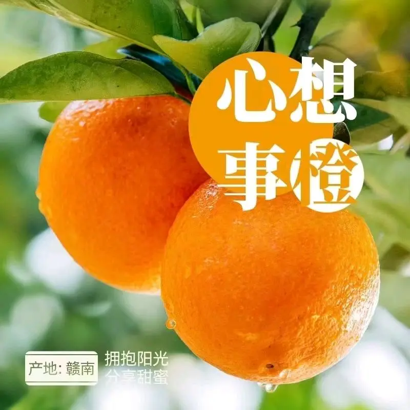 胡海燕