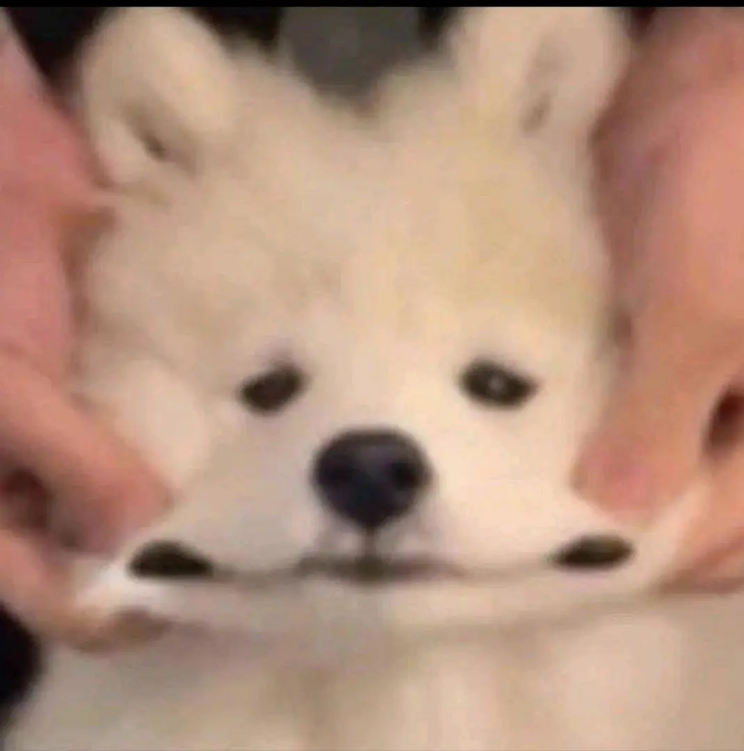 朴先生