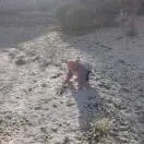 u客直谈实名认证王雪光