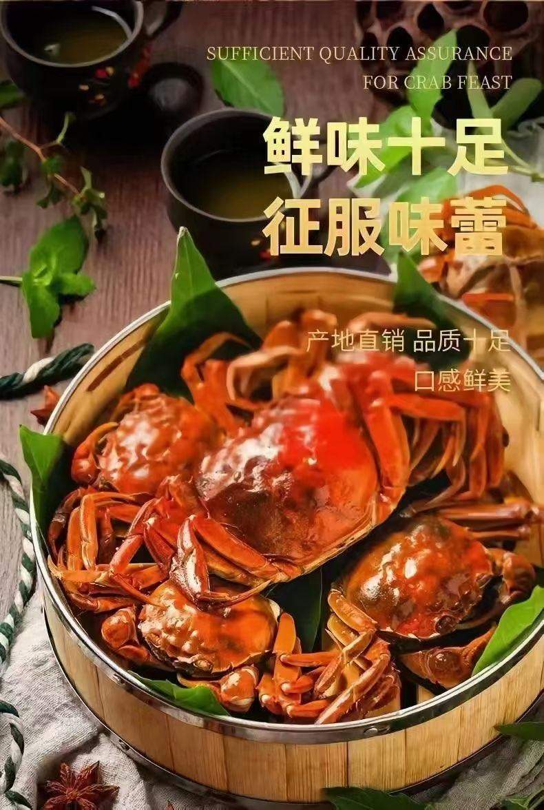 张猛品牌货源