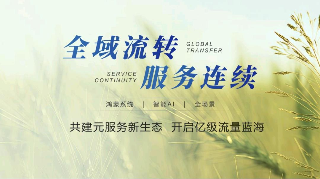 李先生地推项目华为元服务招地推合作 无需费用 服务商直招