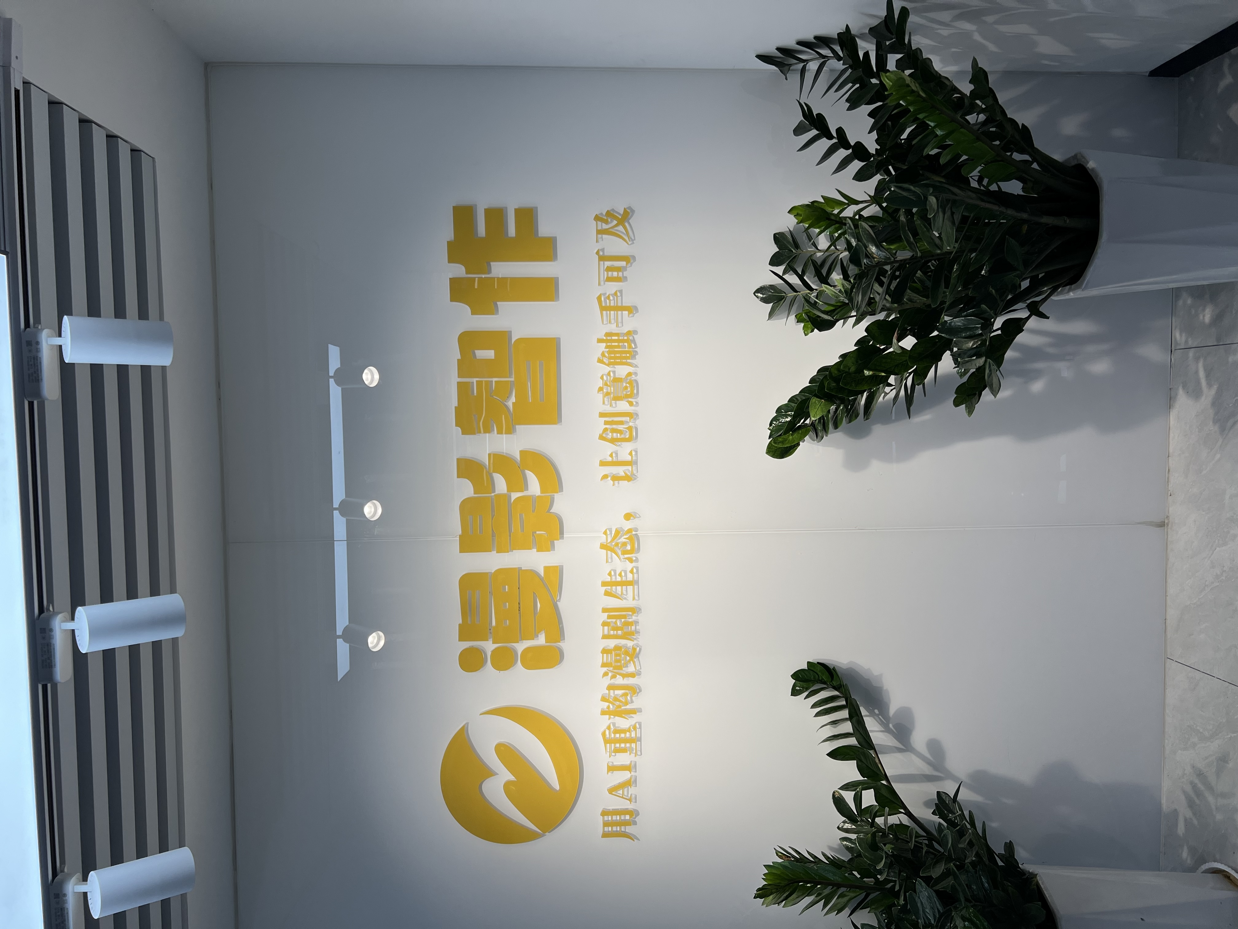 王先生找合伙人三大AI创业项目AI漫剧 * AI无人直播*AI短视频
