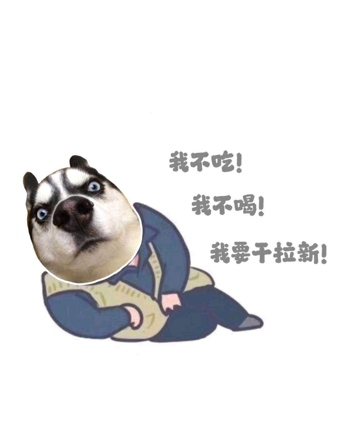 陈耿令找合伙人