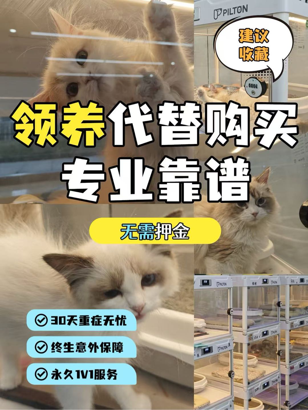 韩先生其他供需