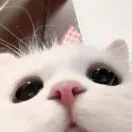 何育莹